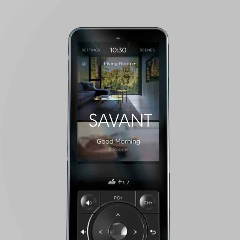 Savant