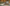 Blurred placeholder
